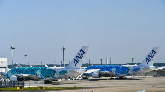 成田空港に並ぶ青と緑のFLYING HONU