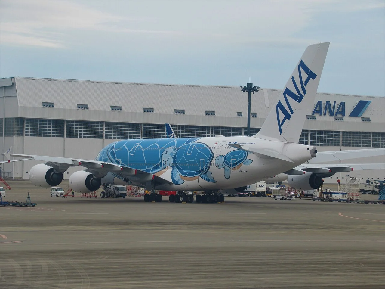 ホノルルの青いANA FLYING HONU A380