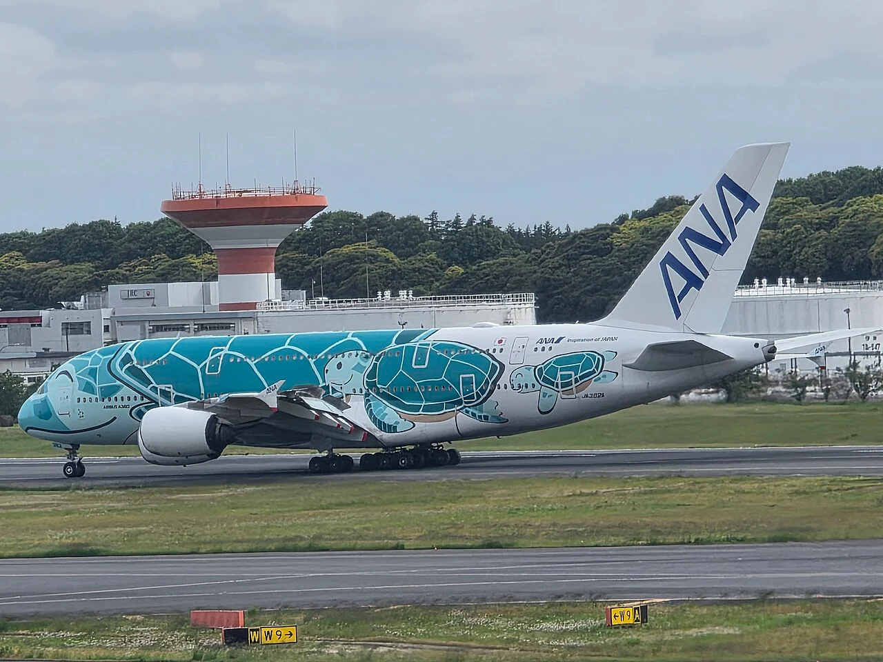 成田空港の緑のANA FLYING HONU A380