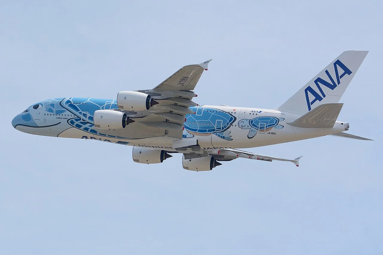 ANAのAirbus A380-800（関連する機体の写真）