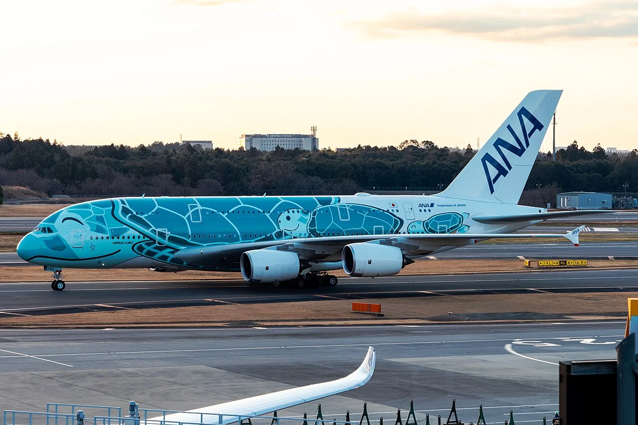 ANAのAirbus A380-800（関連する機体の写真）