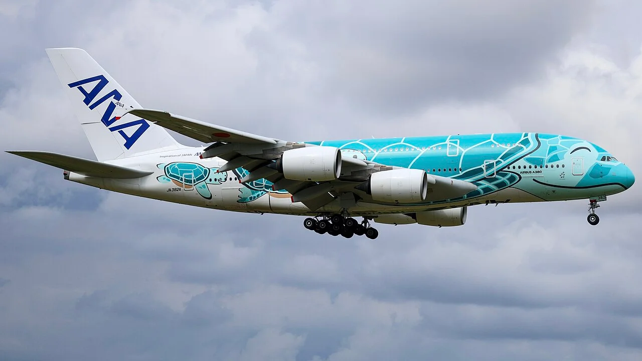 ANAのAirbus A380-800（関連する機体の写真）