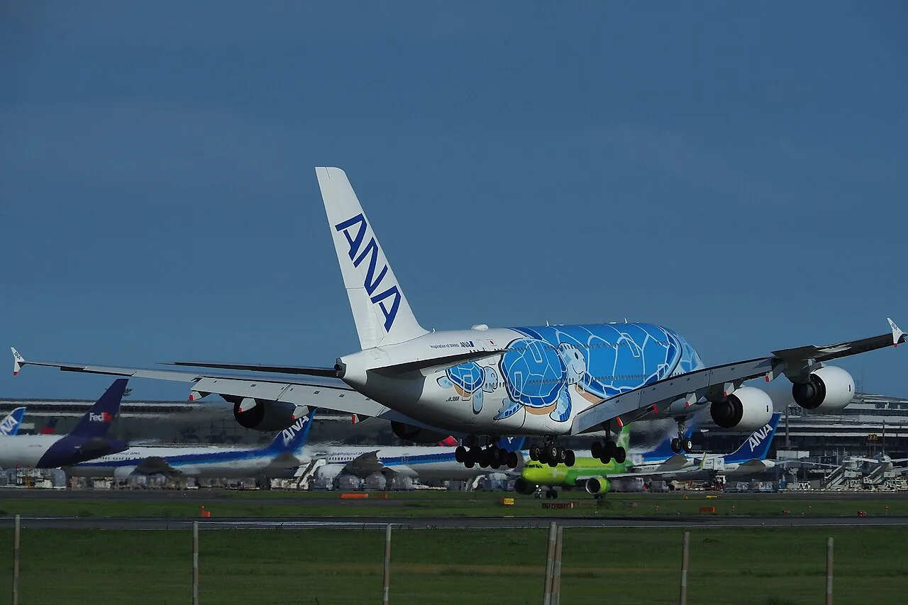 ANAのAirbus A380-800（関連する機体の写真）