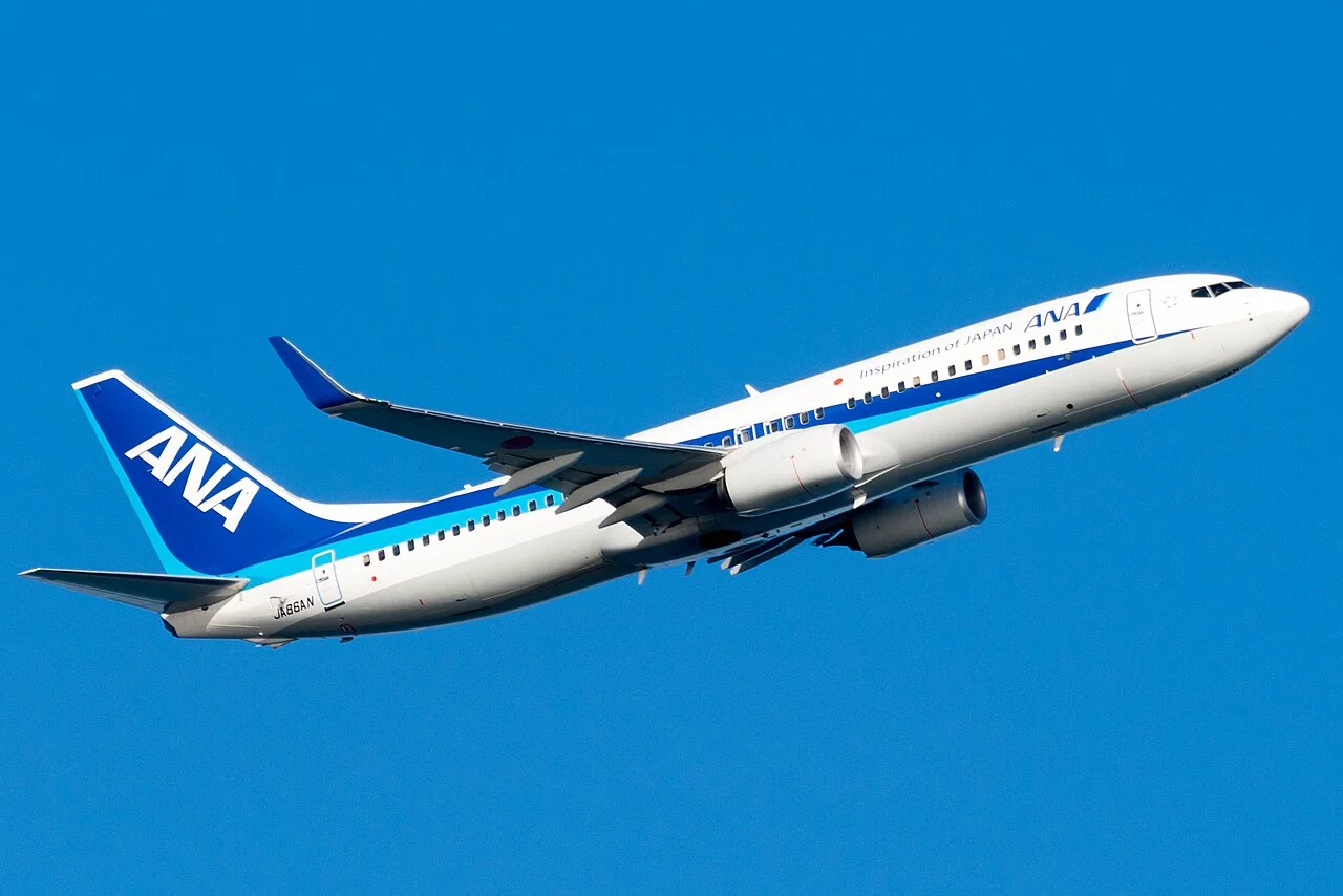 ANA（全日本空輸）のBoeing 737-800（関連する機体の写真）