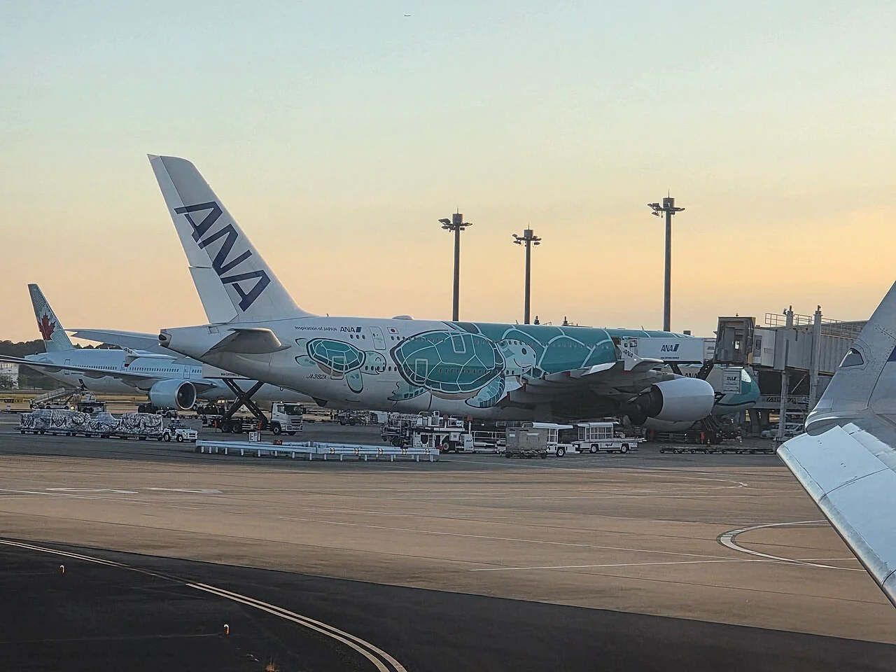 ANA（全日本空輸）のAirbus A380-800（関連する機体の写真）