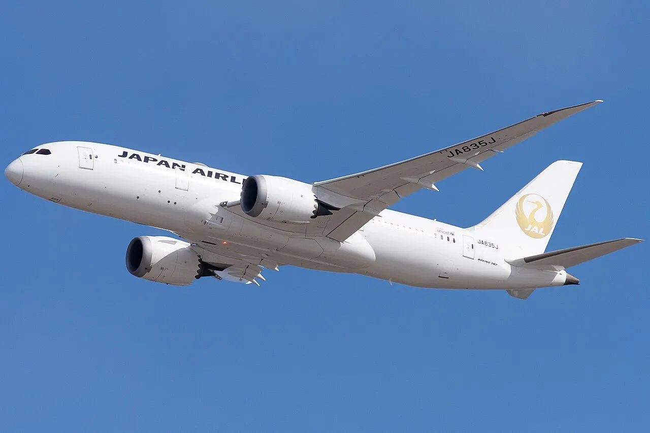 Japan Airlines Boeing 787-8の機体参考写真
