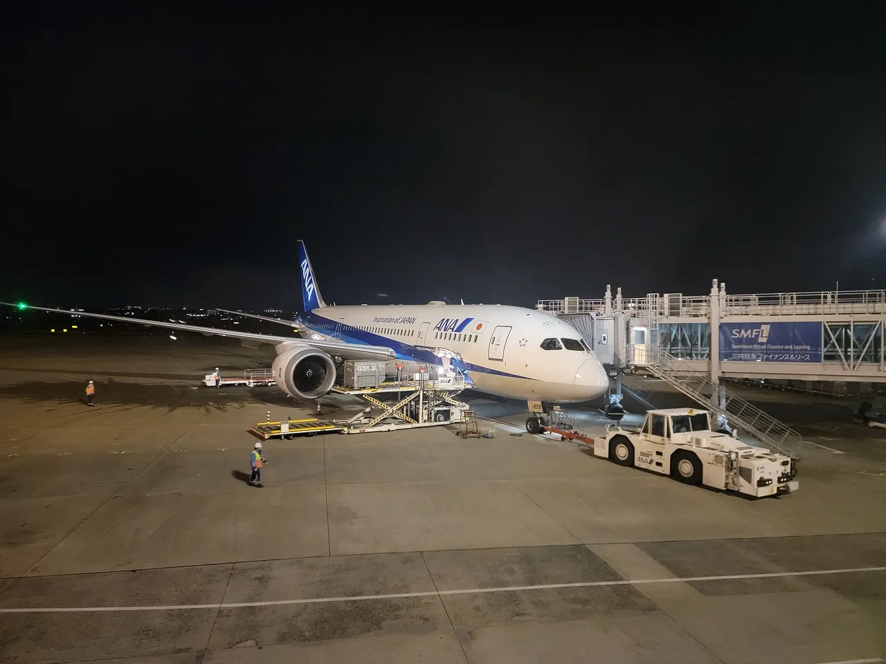 ANA Boeing 787の機体参考写真