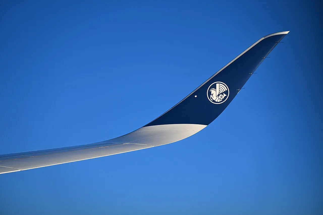 Air France A350-900 wing view