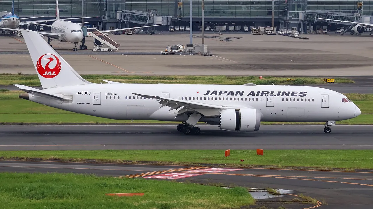 Japan Airlines Boeing 787-8の機体参考写真