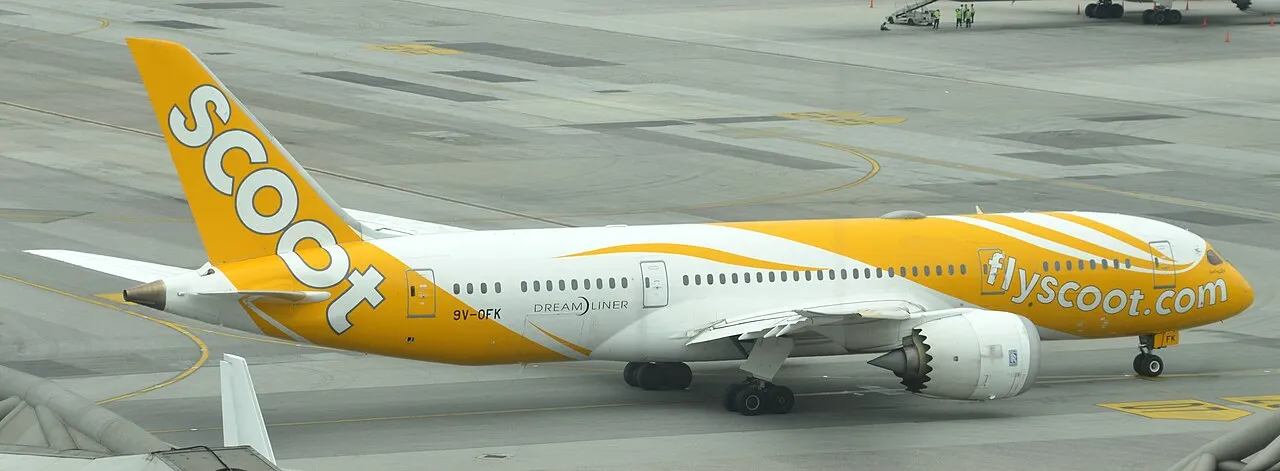 Scoot Boeing 787-8の機体参考写真