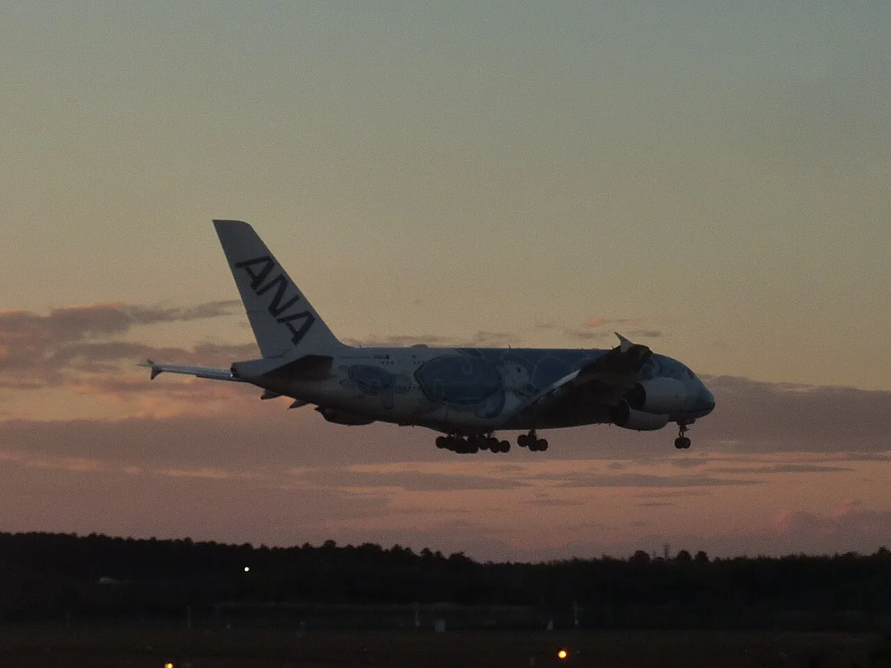 ANA Airbus A380の機体参考写真
