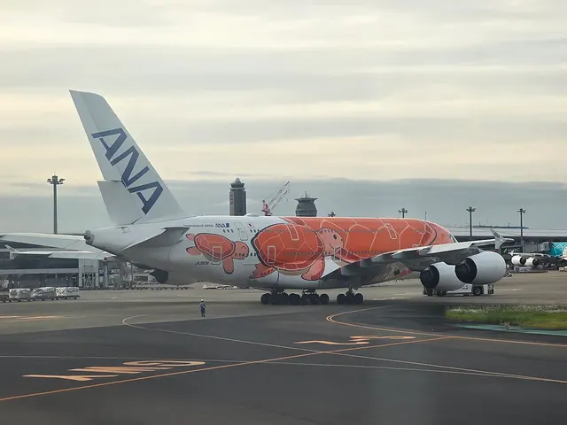 ANA Airbus A380; aircraft reference photograph