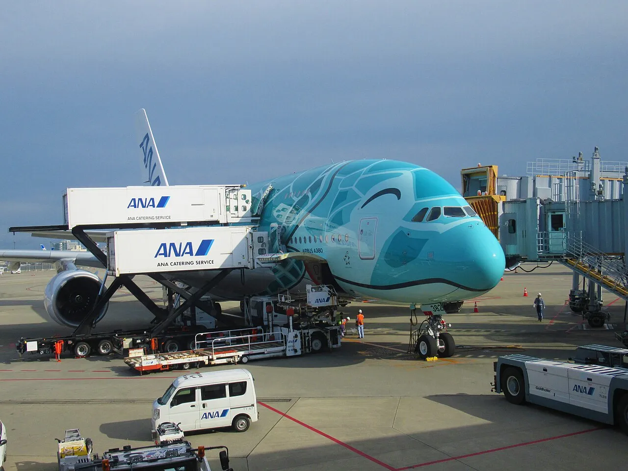 ANA Airbus A380