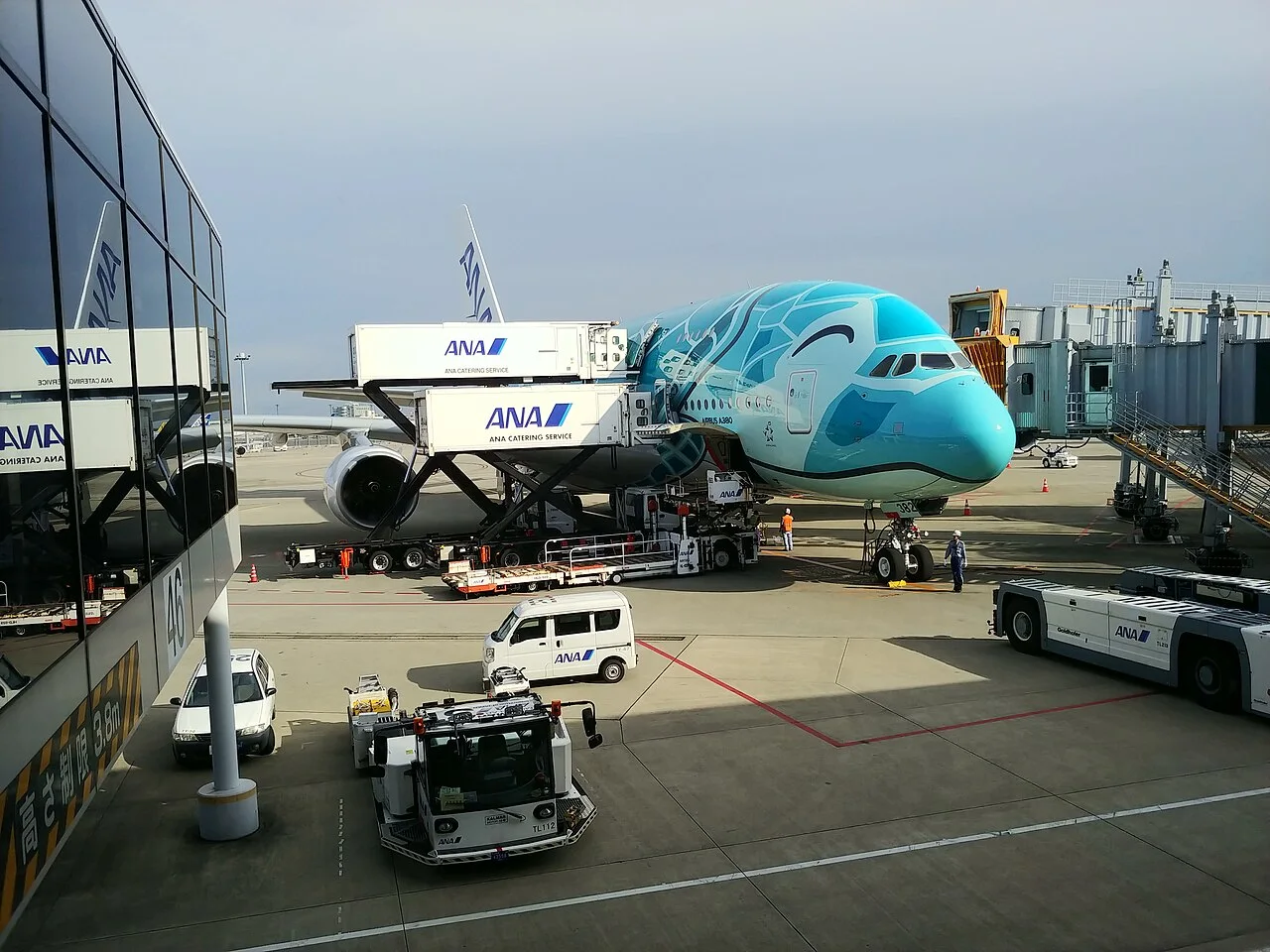 ANA Airbus A380-800の機体参考写真