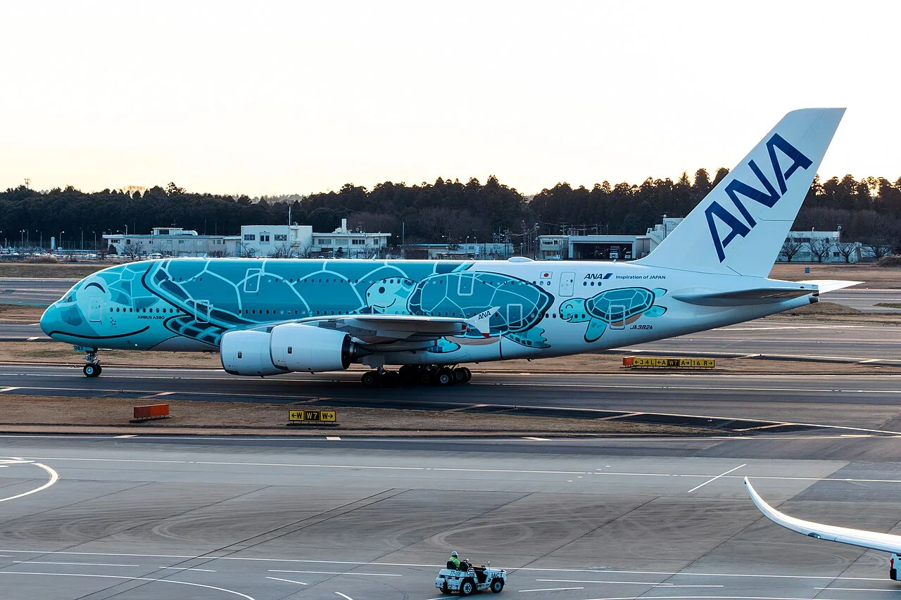 ANA Airbus A380-800の機体参考写真
