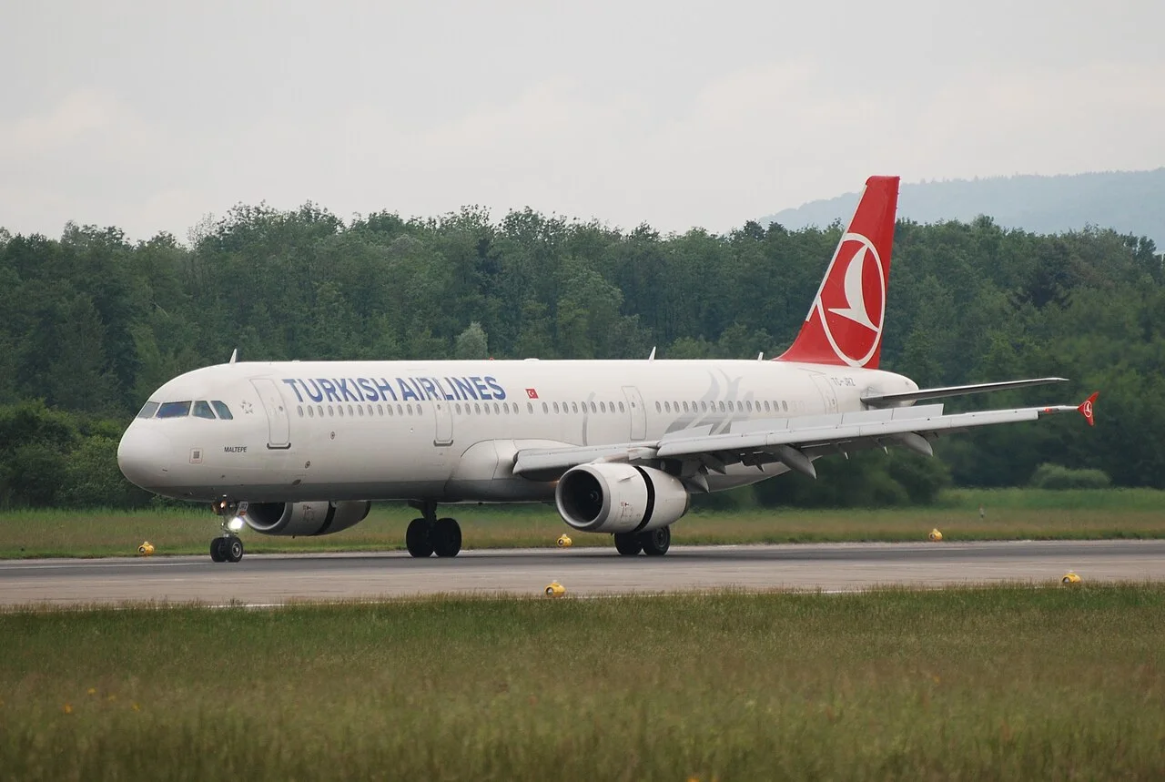 Turkish Airlines Airbus A321の参考写真（紹介記事の搭乗便の写真ではありません）