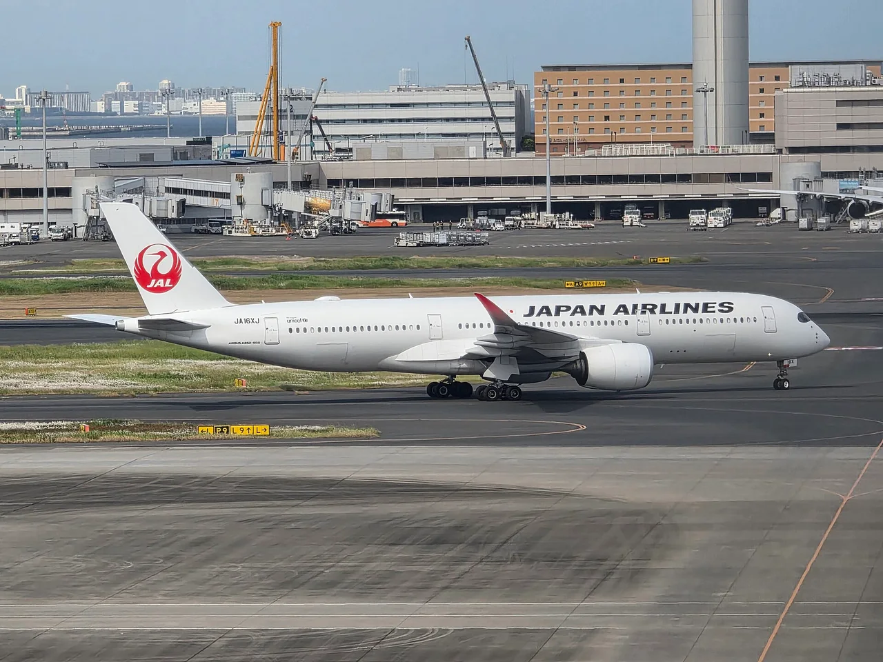 Japan Airlines Airbus A350-900の機体参考写真