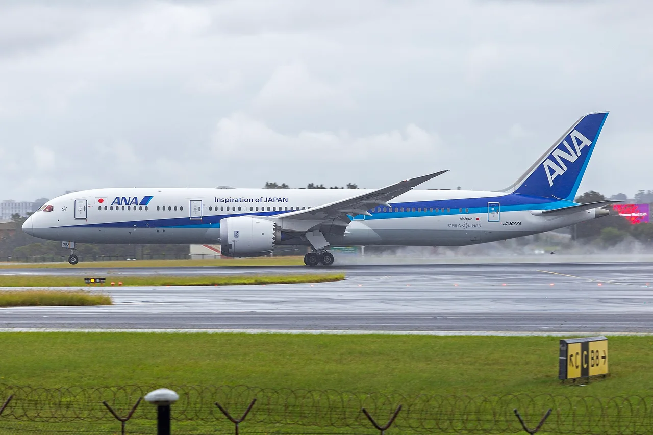 ANA Boeing 787-9の機体参考写真