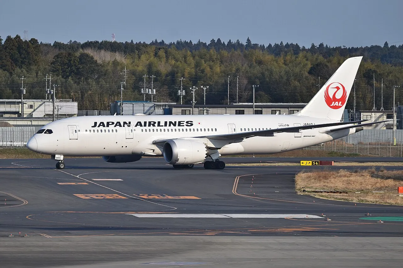 Japan Airlines Boeing 787-8の機体参考写真