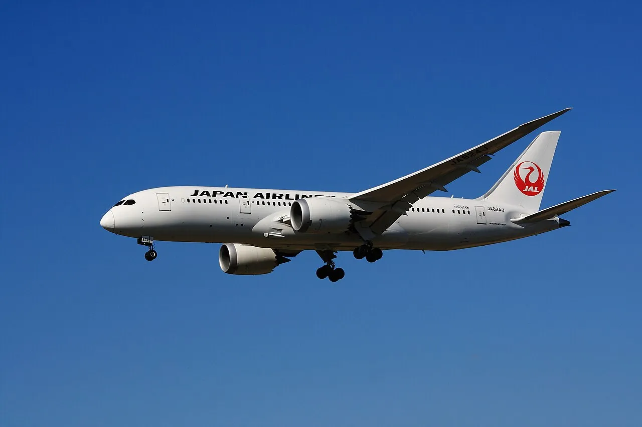 Japan Airlines Boeing 787-8の機体参考写真