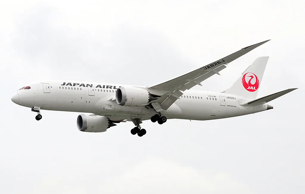 Japan Airlines Boeing 787-8の機体参考写真
