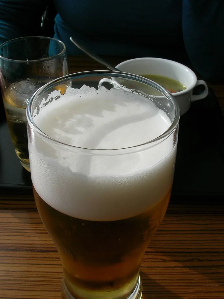 Sakura Lounge, Narita · drinks & bar